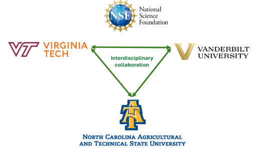 NSF/IUSE Project